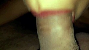 i love this latina slut susy with her mamador lips giving rich verga chupada, she's addicted to cock