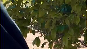 Hot Wife Delivers Amazing Public Blowjob in Daring Outdoor Scene.