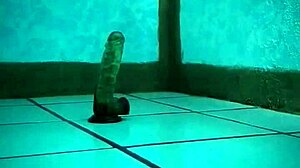 ugh, pandita starts the year hot, playin’ with her fave toy!