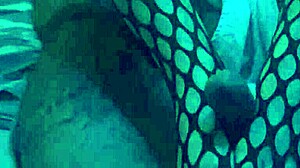 Want to feel my sexy feet in nylons giving a footjob?