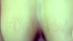 latina neighbor gapes wide after wild anal creampie