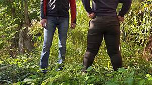 Hej, hvorfor længes stedmor efter min opmærksomhed i det offentlige?