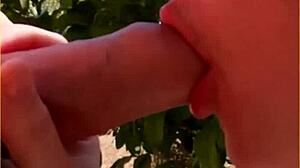 Hot Wife Delivers Amazing Public Blowjob in Daring Outdoor Scene.