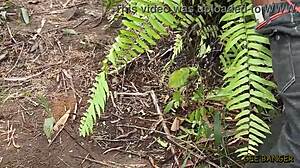 SEXO DE FÉRIAS com amadora ebony curvilínea linda no mato