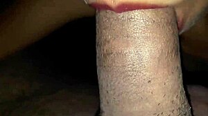 i love this latina slut susy with her mamador lips giving rich verga chupada, she's addicted to cock