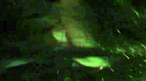 kingdinglong loving that bbc gumjob from a hot cougar