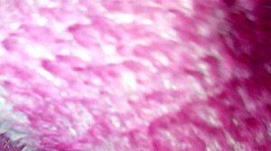 Why film my sister-in-law's sexy ass?