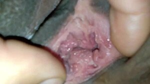 Swinger whores crave endless wet orgasms and tight pussy action