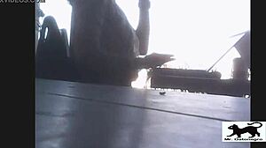 Oh man, spotting that stray cat on the street was wild... it wandered around curiously before vanishing into the alley.