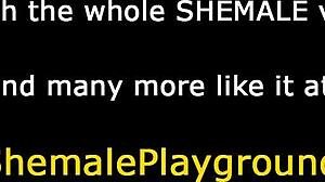 可愛いニューハーフのソロでディープフェティシパッションでチンチンをしごく