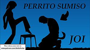 Hotwife's Intense Creampie After Asian Blowjob In JAV