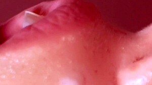 Japanese Story Unfolds With Intrigue And Depth!