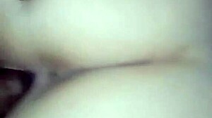 Prody Clapping Cheeks