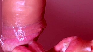 Japanese Story Unfolds With Intrigue And Depth!