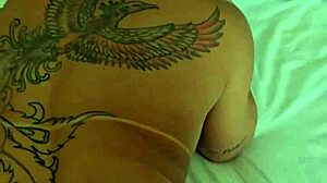 kalena mitrak - seguidor batendo uma punheta enquanto levo rola