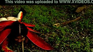 Unbelievable! French fan’s dream with Aletta Ocean pounding his cock hard