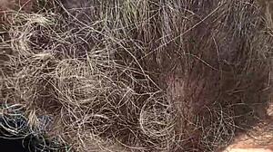 Horny BBW Gives Outdoor Blowjob in Public