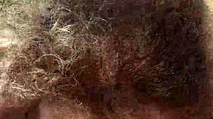 Horny BBW Gives Outdoor Blowjob in Public