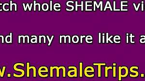 이 트랜니가 구멍에 박고 블로우잡과 핸드잡 열정으로 엄청 강렬해.