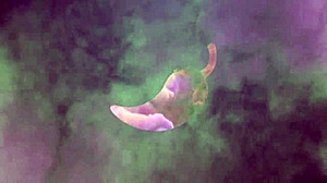 Anal sex with reporter and monster cock