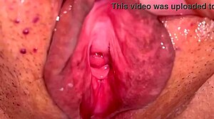 Amateur Asian milf’s pink pussy licked raw 113 days after losing virginity.