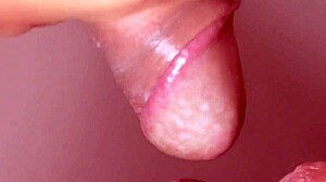 Japanese Wife Sucks Elderly Neighbor's Cock