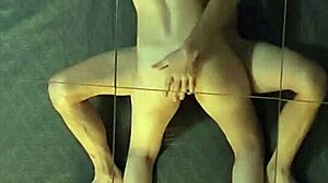 Does dana star try new ceiling mirrors with stan?