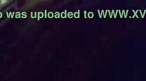 Keri and Jay having fun with blowjob on monster cock