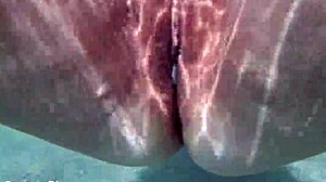 Múltiples creampies en coño húmedo de milf regordeta bajo agua