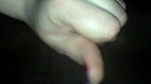 Amateur cum in pantyhose quickie