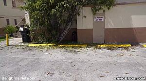 Ivy's karma embraces the bitch's intense blowjob, cumshot, and facial on shaved pussy