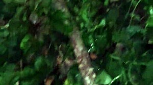 Meeting Cute Whore Friend In Jungle For Ass Fucking