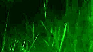 Meeting Cute Whore Friend In Jungle For Ass Fucking