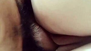 Amateur latina milf Aurora Estelar shows off chubby curves in homemade compilation!