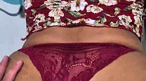 The Moray Eels Have An Intensity In Their Look That Captivates