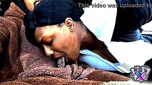 Milf Swallows Cock in Car Bear Suit