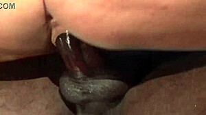 Lauren Phoenix Rests on a Black Seat in Fishnets and Heels