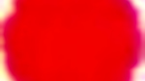 Cuck4K Vaimo omaksuu fantasian miehensä kanssa