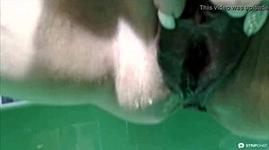 Amateurs russian milf performs wet pussy squirt and pissing show on webcam. She explores mature cunt golden shower in asshole fucking.