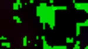 Love Living Life with Wingerlife