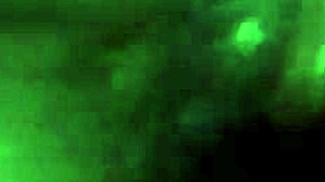 Love Living Life with Wingerlife