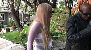 nick fury encounters sexy cosplay vampires vampirella and emma frost delivering intense comic blowjob action.