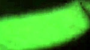 i'm fucking my pregnant wife's pussy so hard right now