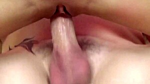 Eve Nicholson Gets Ass Fingered With Buttplug Before Taking Hard Cock Balls Deep