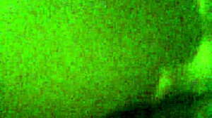 Fat Booty Twerks Wildly in Action. Big Ass Bounces with Passion.