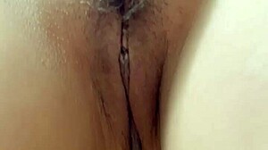 Um Compilado Do Que Vocês Podem Encontrar No Red Sexo Boquete Exibicionismo Na Piscina Trocando De Roupa No Provador Esposa Heyya