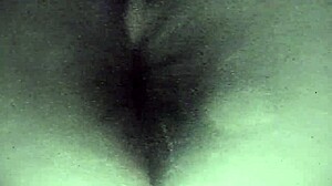 The bitch reveals her big hairy pussy