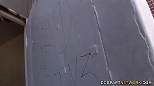 Busty Nika Noire Tries Shane Diesel's BBC - Gloryhole