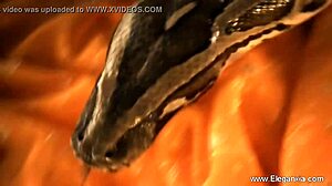 Asian Brunette Dances Erotic Dreams Solo