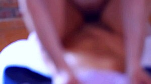 cuñada and sister's companion in single home